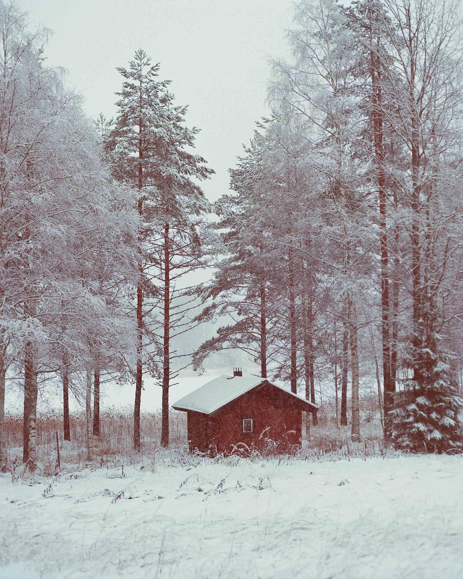 The Finnish sauna culture