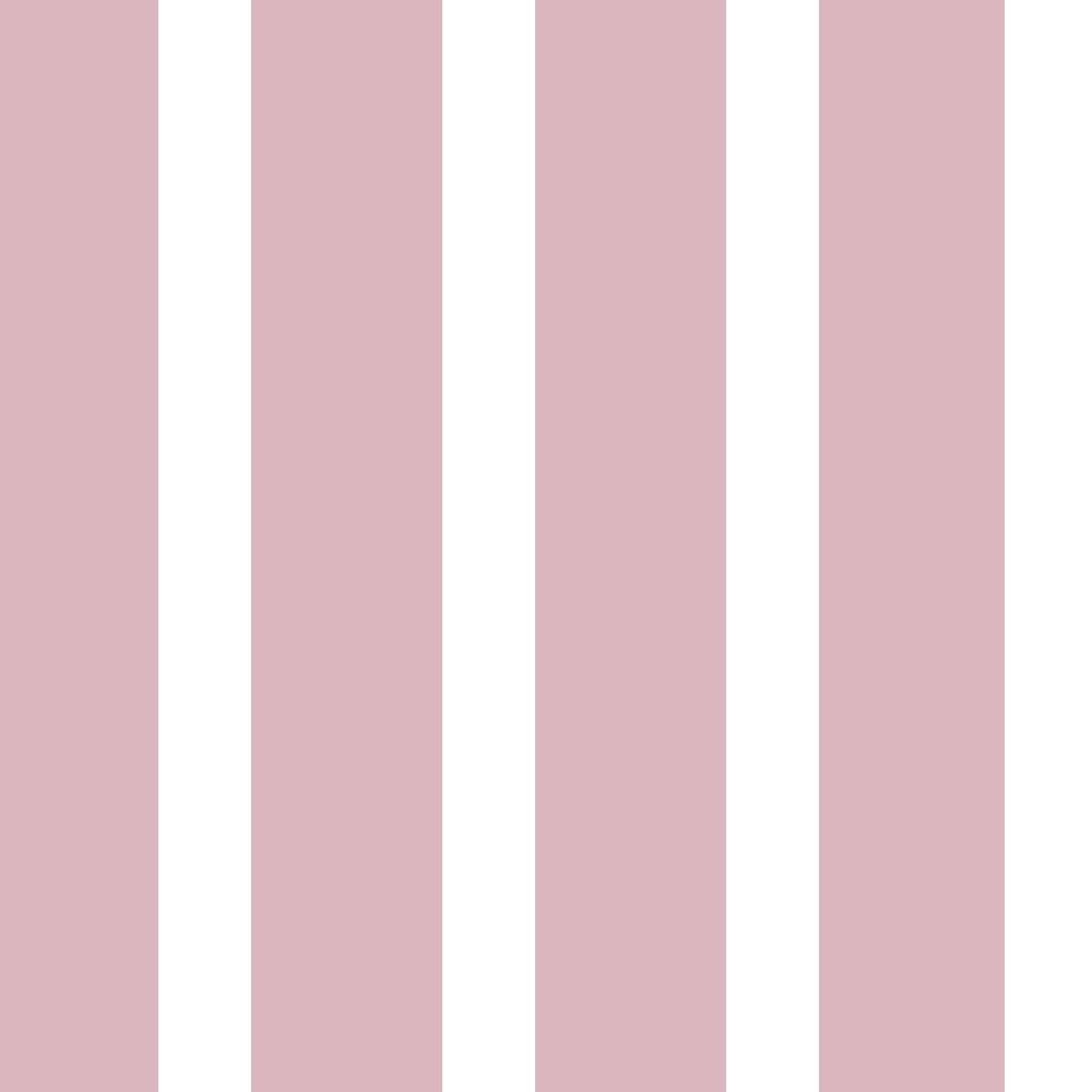 Shaded Pink Stripes