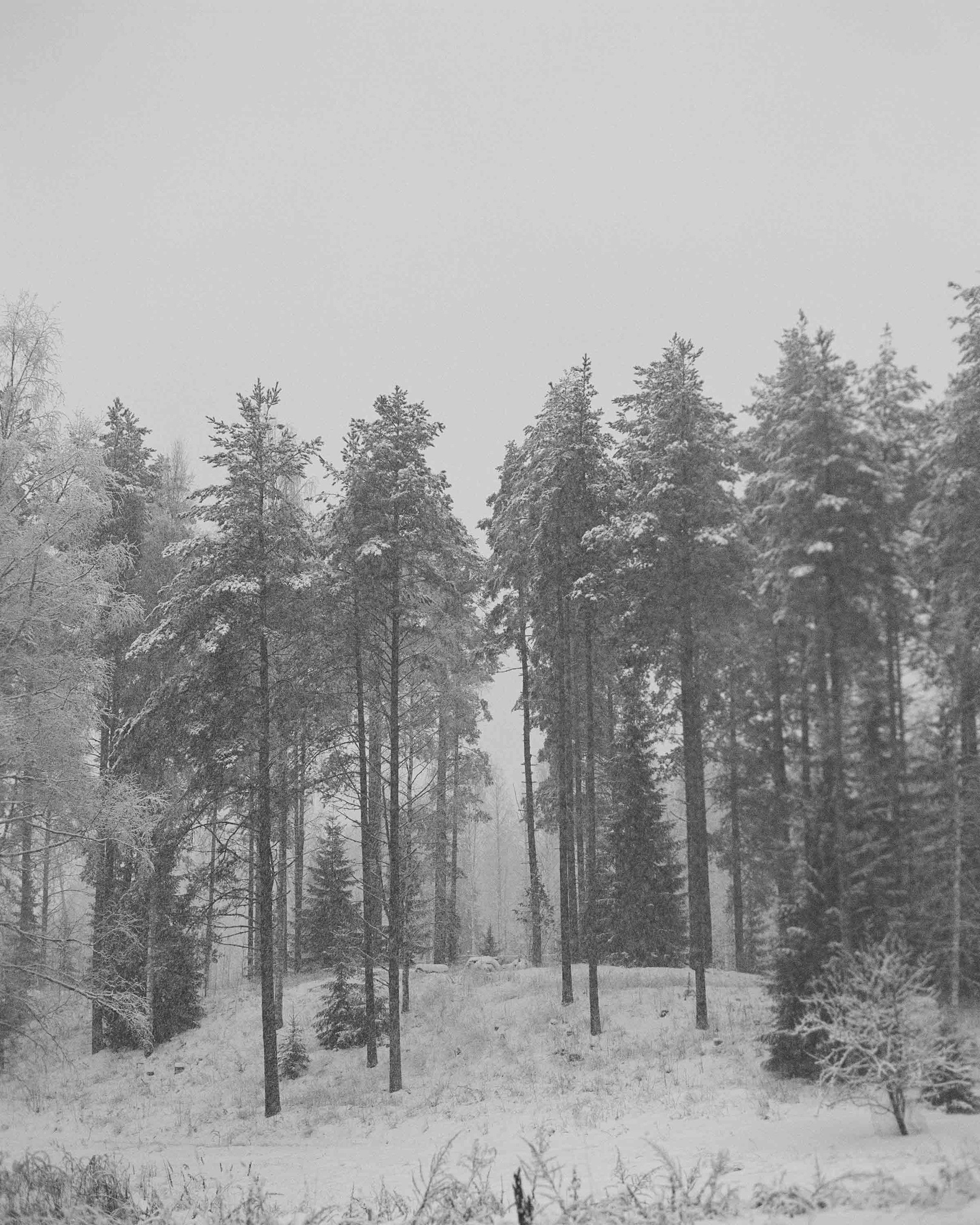 The Finnish sauna culture